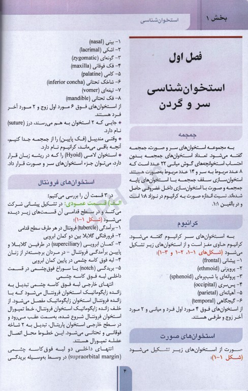 خلاصه GBS آناتومی و نوروآناتومی گری، نتر و اسنل