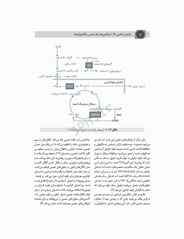 تغذیه اساسی جلد2 ویتامین‌ها، مواد معدنی و الکترولیت‌ها دکتر شیدفر