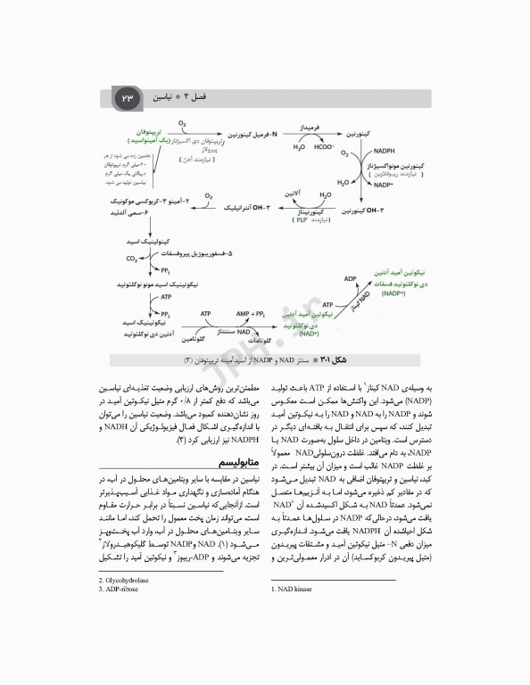 تغذیه اساسی جلد2 ویتامین‌ها، مواد معدنی و الکترولیت‌ها دکتر شیدفر