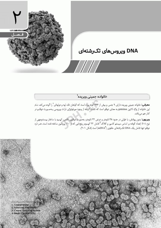 ویروس‌شناسی گیاهی نوین به زبان ساده