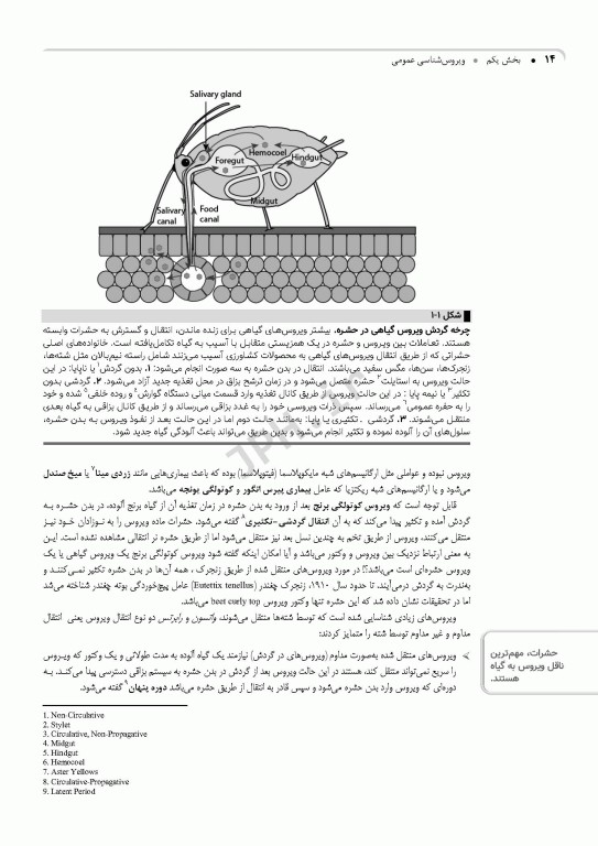 ویروس‌شناسی گیاهی نوین به زبان ساده