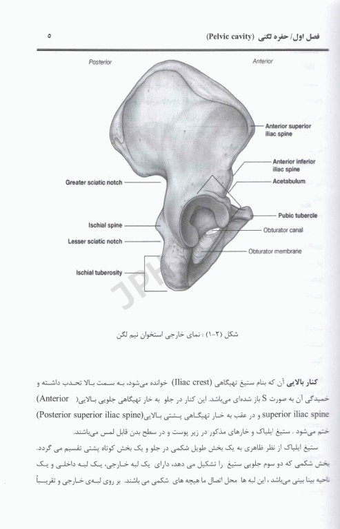 کالبد‌شناسی لگن همراه با نکات بالینی و کاربردی
