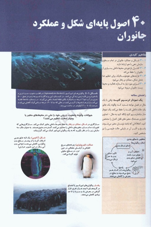 بیولوژی کمپبل 2021 جلد6 ساختار و عمل جانوران دکتر راهله جهانبانی