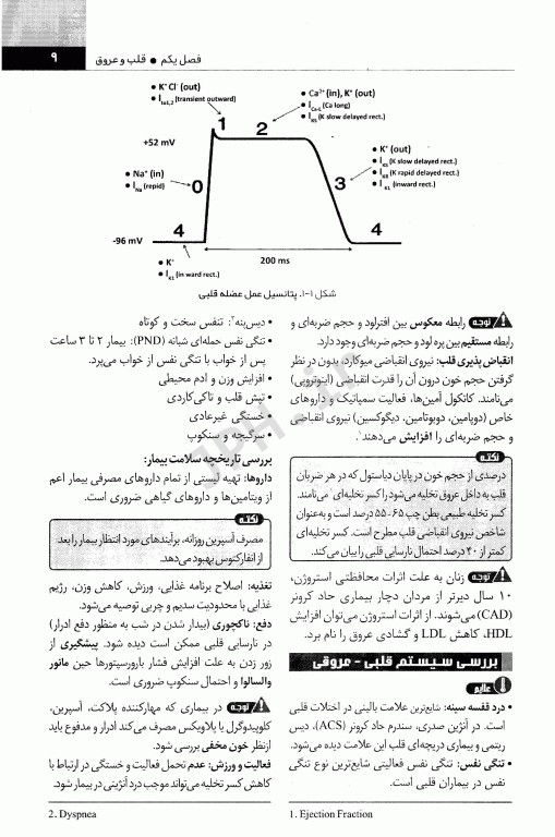 صفر تا صد پرستاری داخلی جراحی بر اساس برونر 2022، بلک و فیپس