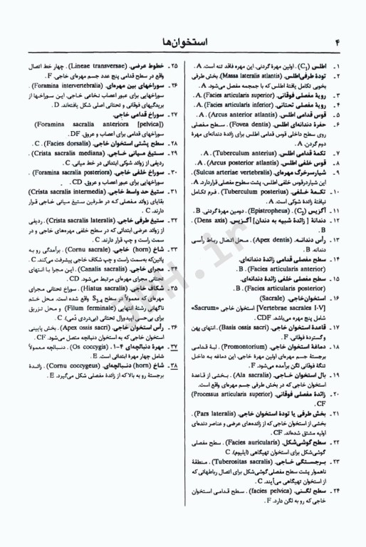 اطلس آناتومی انسان