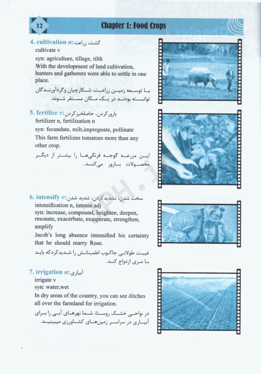 400 لغت ضروری که باید برای تافل بدانیم