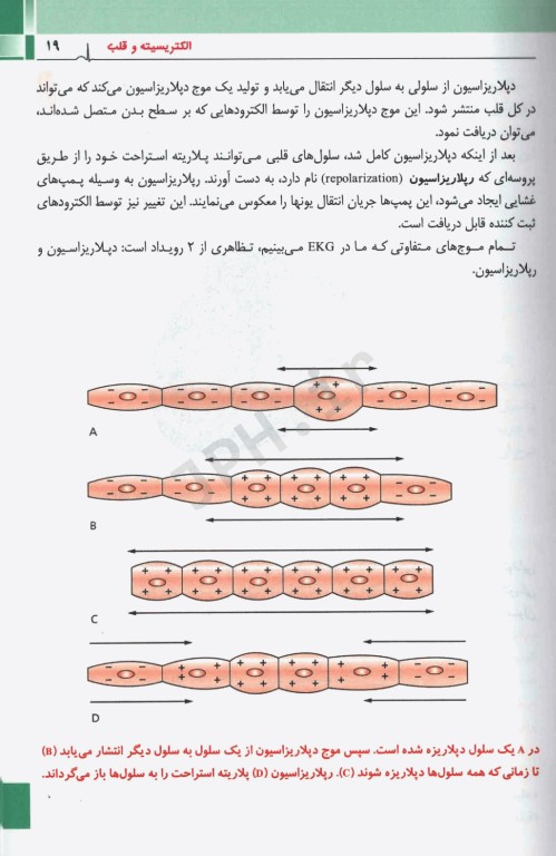 تنها کتاب EKG که نیاز دارید 2023 دکتر قارونی