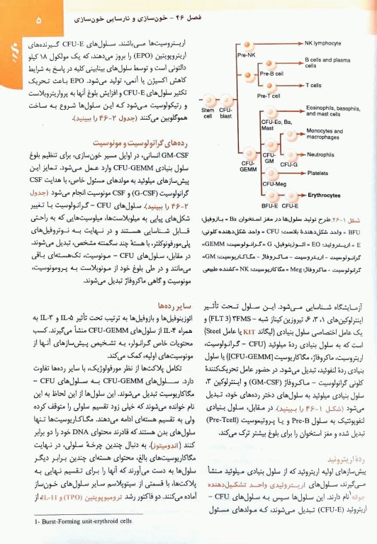 مبانی طب داخلی سسیل 2022 بیماری‌های خون و سرطان