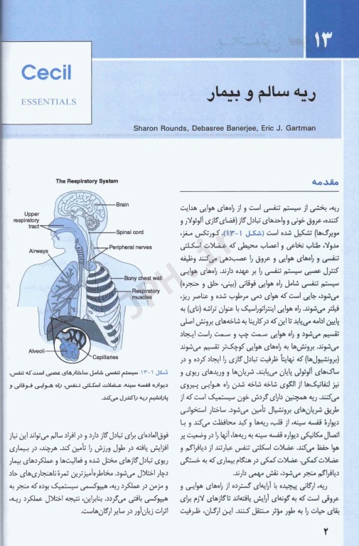 مبانی طب داخلی سسیل 2022 بیماری‌های ریه