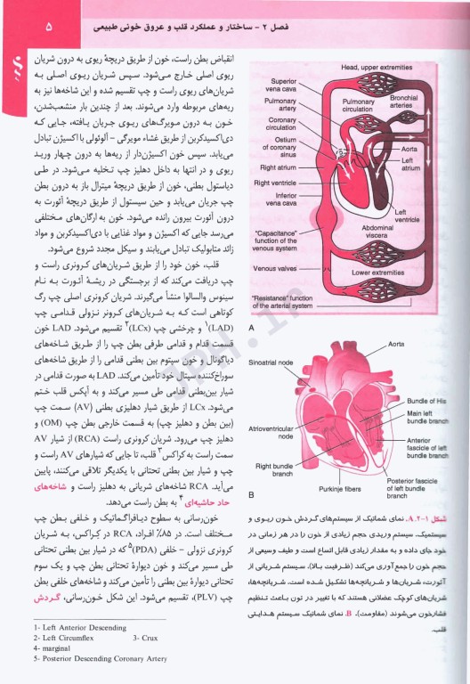 مبانی طب داخلی سسیل 2022 بیماری‌های قلب و عروق