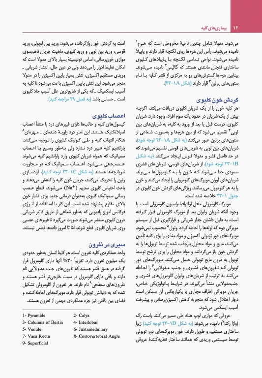 مبانی طب داخلی سیسیل 2022 بیماری‌های کلیه