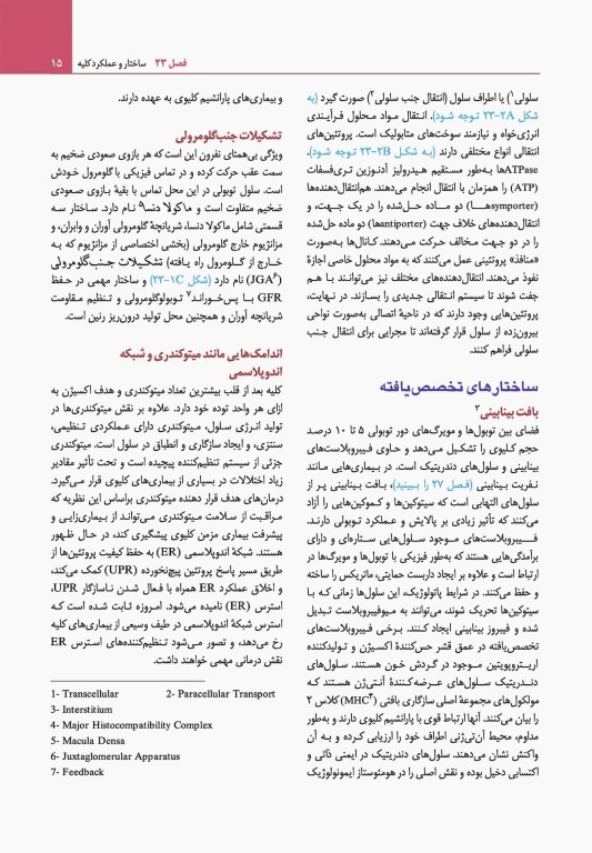 مبانی طب داخلی سیسیل 2022 بیماری‌های کلیه