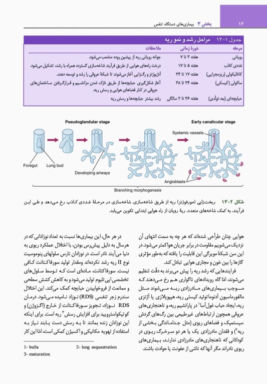 مبانی طب داخلی سیسیل 2022 بیماری‌های دستگاه تنفس