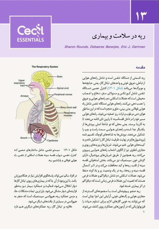 مبانی طب داخلی سیسیل 2022 بیماری‌های دستگاه تنفس