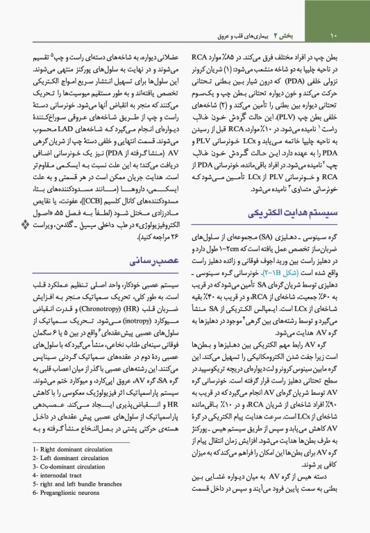 مبانی طب داخلی سیسیل 2022 بیماری‌های قلب و عروق