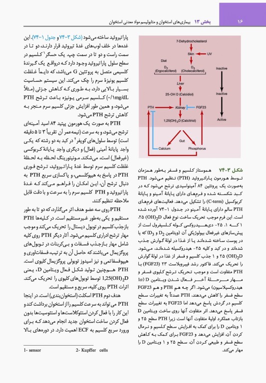 مبانی طب داخلی سیسیل 2022 بیماری‌های دستگاه ایمنی و بافت همبند(روماتولوژی)