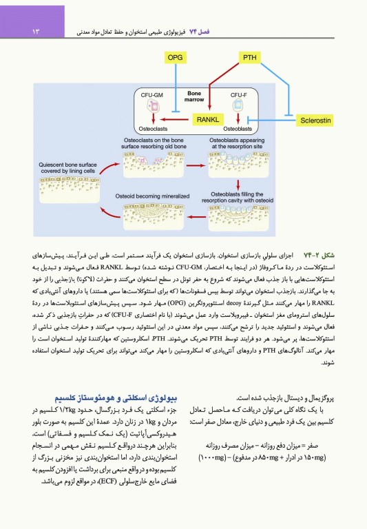 مبانی طب داخلی سیسیل 2022 بیماری‌های دستگاه ایمنی و بافت همبند(روماتولوژی)