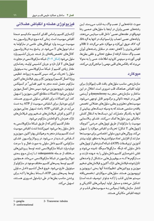 مبانی طب داخلی سیسیل 2022 بیماری‌های قلب و عروق