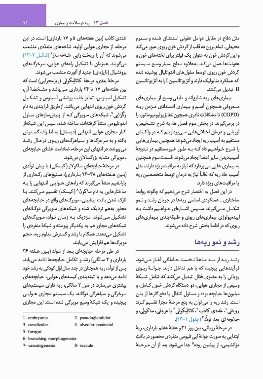 مبانی طب داخلی سیسیل 2022 بیماری‌های دستگاه تنفس