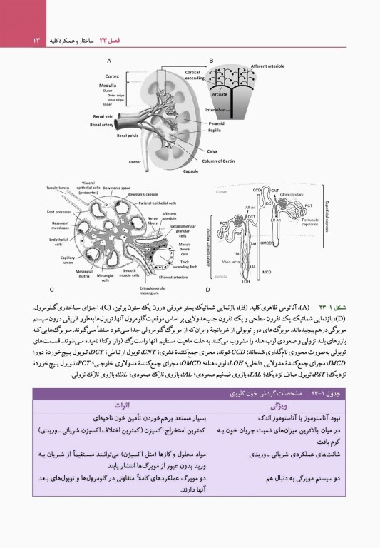 مبانی طب داخلی سیسیل 2022 بیماری‌های کلیه