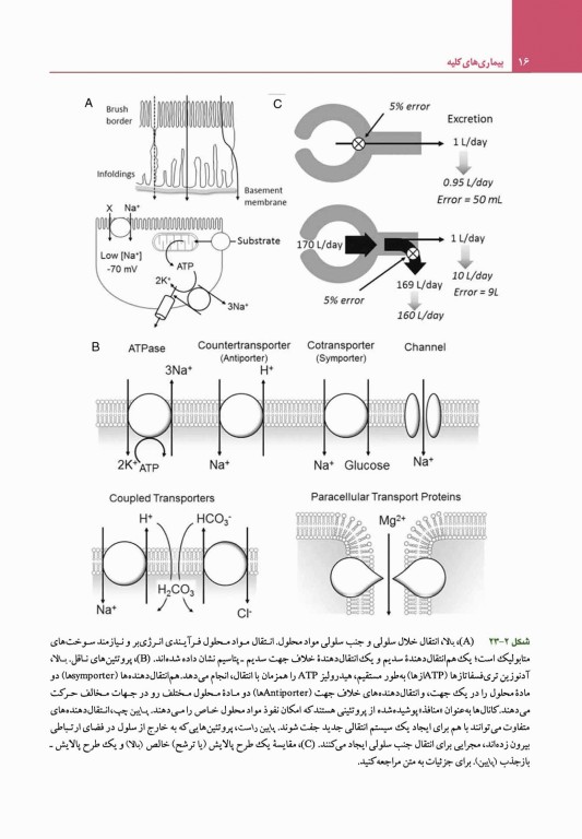 مبانی طب داخلی سیسیل 2022 بیماری‌های کلیه
