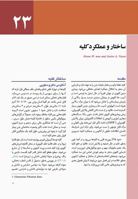 مبانی طب داخلی سیسیل 2022 بیماری‌های کلیه