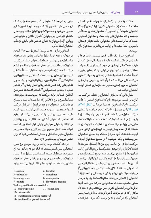 مبانی طب داخلی سیسیل 2022 بیماری‌های دستگاه ایمنی و بافت همبند(روماتولوژی)