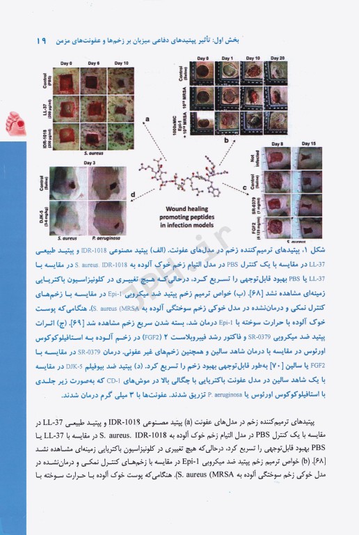 اصول مهارت‌های بالینی پژوهش‌ها و یافته‌های نوین حوزه زخم