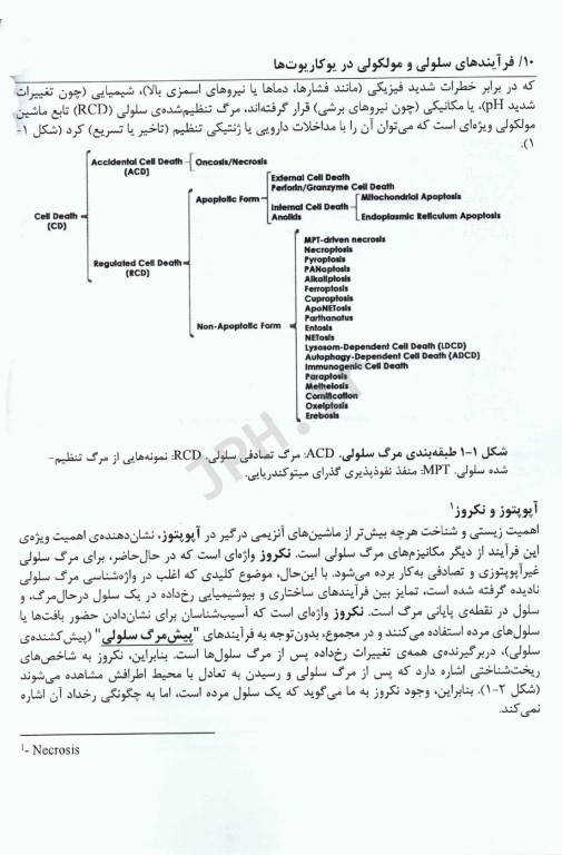 فرآیند‌های زیست شناسی سلولی و مولکولی در یوکاریوت‌ها