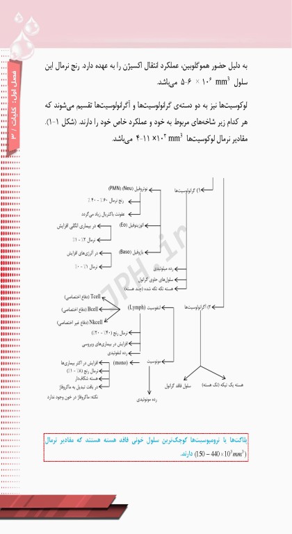 از تشخیص آزمایشگاهی تا درمان آنمی‌ها