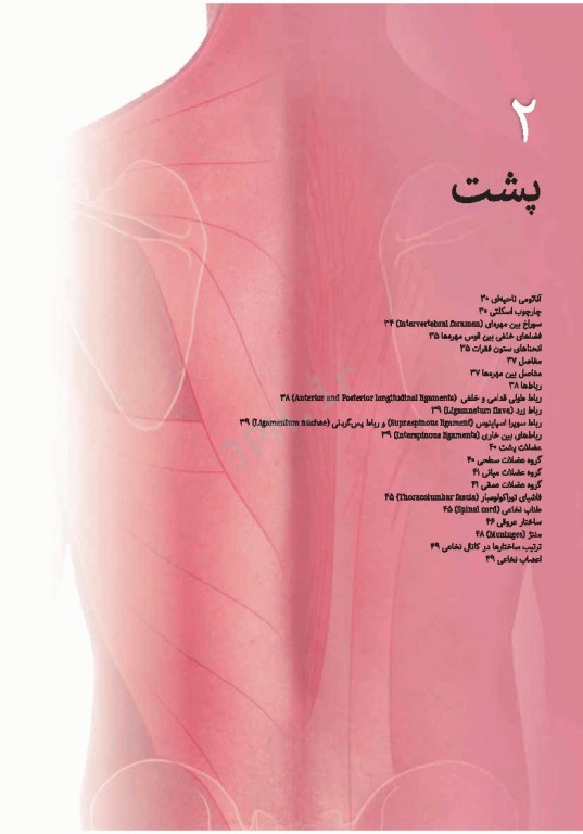 چکیده جامع آناتومی پایه گری برا‌ی دانشجویان 2023