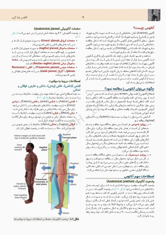 چکیده جامع آناتومی پایه گری برا‌ی دانشجویان 2023