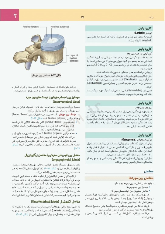چکیده جامع آناتومی پایه گری برا‌ی دانشجویان 2023