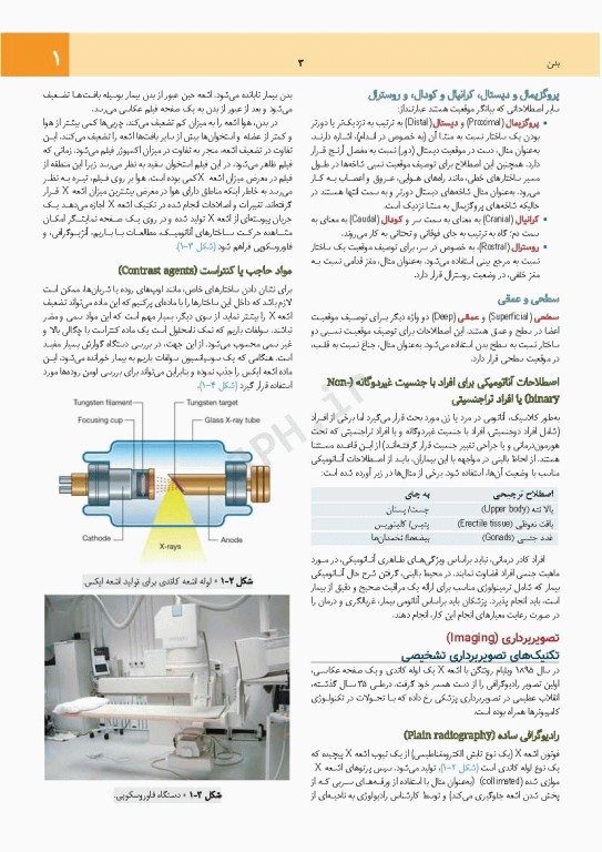 چکیده جامع آناتومی پایه گری برا‌ی دانشجویان 2023