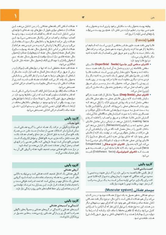 چکیده جامع آناتومی پایه گری برا‌ی دانشجویان 2023