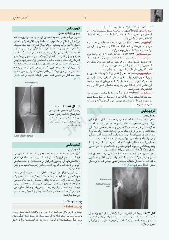 چکیده جامع آناتومی پایه گری برا‌ی دانشجویان 2023