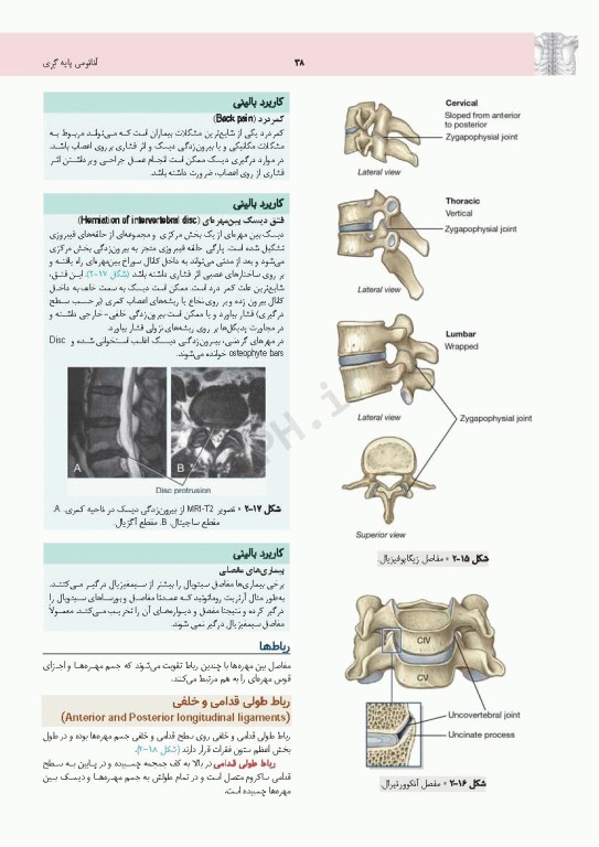 چکیده جامع آناتومی پایه گری برا‌ی دانشجویان 2023