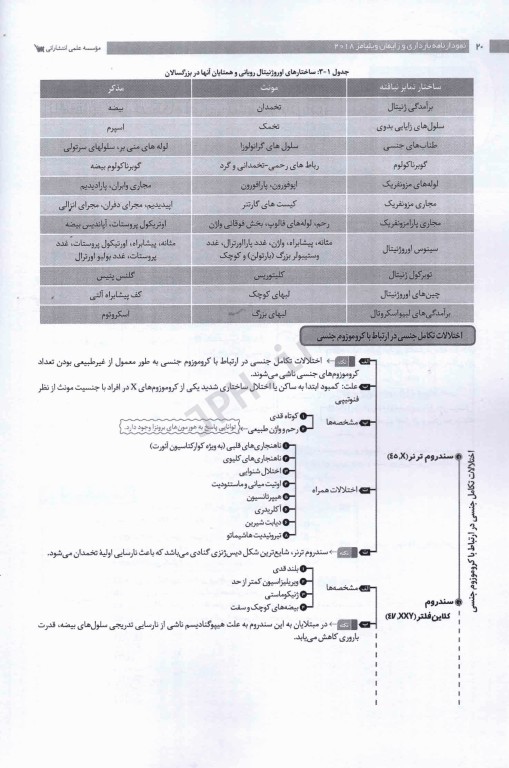 نمودارنامه بارداری و زایمان