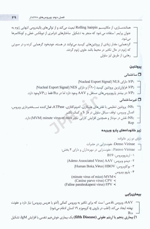 نمودارنامه ویروس‌شناسی پزشکی