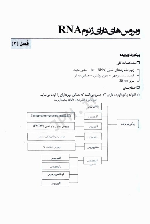 نمودارنامه ویروس‌شناسی پزشکی