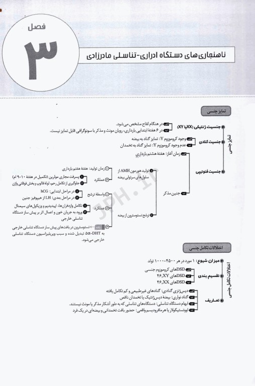 نمودارنامه بارداری و زایمان