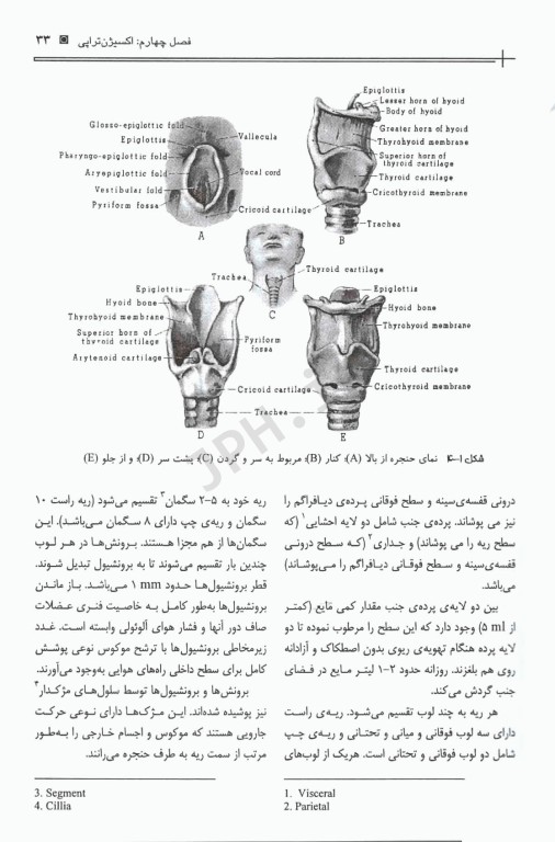 اصول مراقبت‌های ویژه در اتاق بهبودی تالیف فاطمه قارداشی
