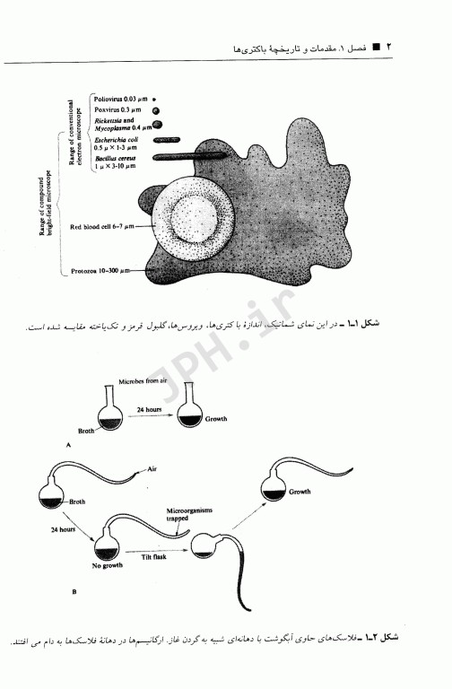 فشرده میکروبیولوژی پزشکی دکتر رحیمی