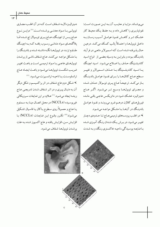 چکیده مراجع دندانپزشکی CDR & DDQ مواد دندانی ترمیمی کریگ 2019