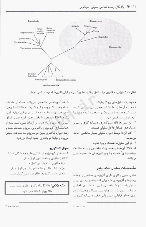 رادیکال زیست‌شناسی سلولی و مولکولی
