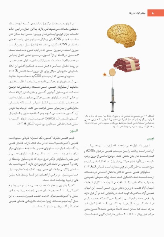 بی حسی موضعی مالامد 2020