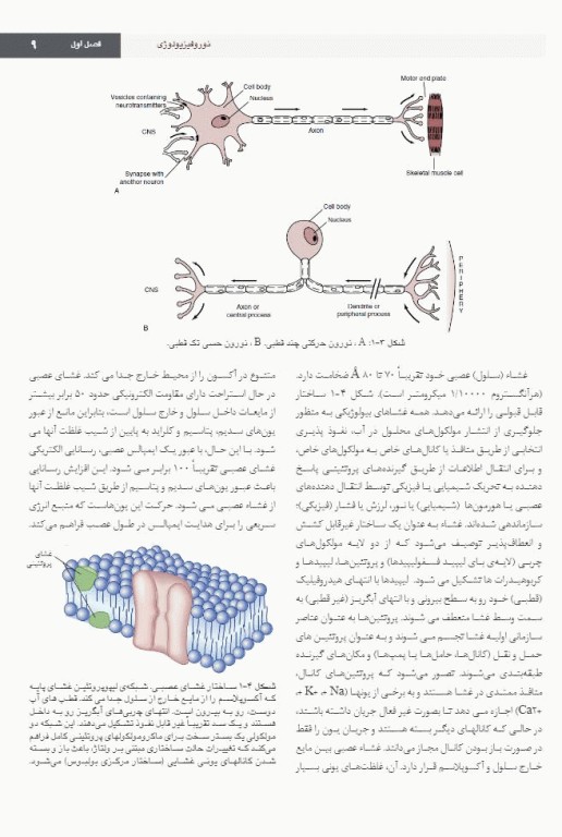 بی حسی موضعی مالامد 2020