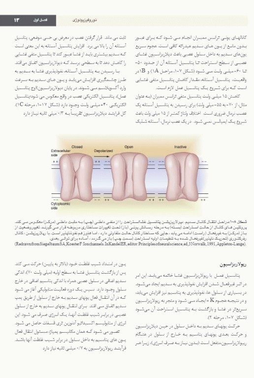 بی حسی موضعی مالامد 2020