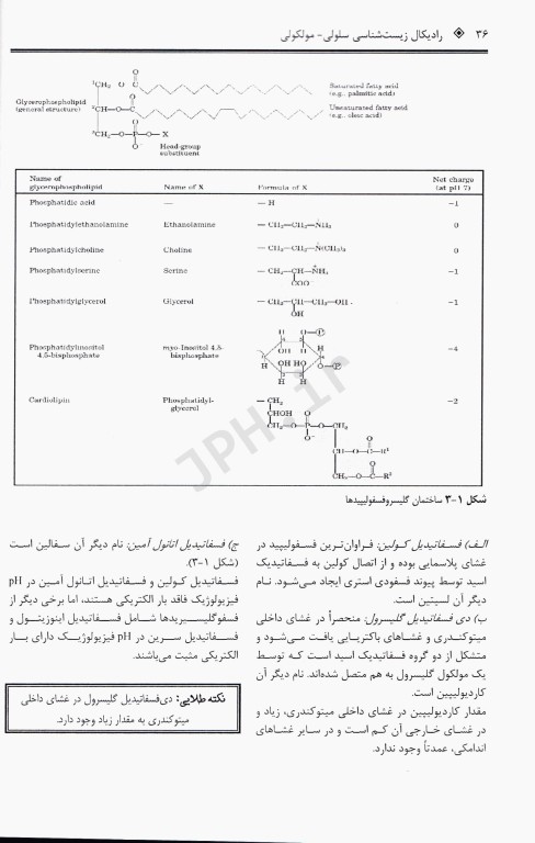 رادیکال زیست‌شناسی سلولی و مولکولی
