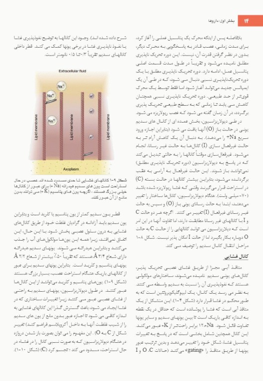 بی حسی موضعی مالامد 2020